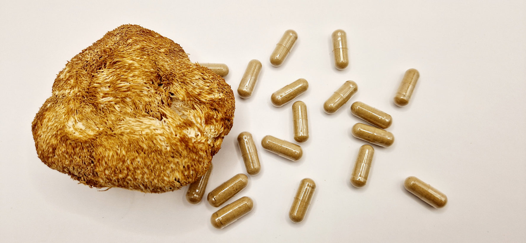 The Awakened reishi hericium shiitake cordyceps chaga maitake coriolus supplement