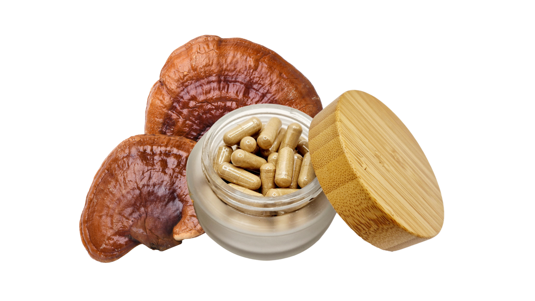 Beauty Sleep organic reishi capsules