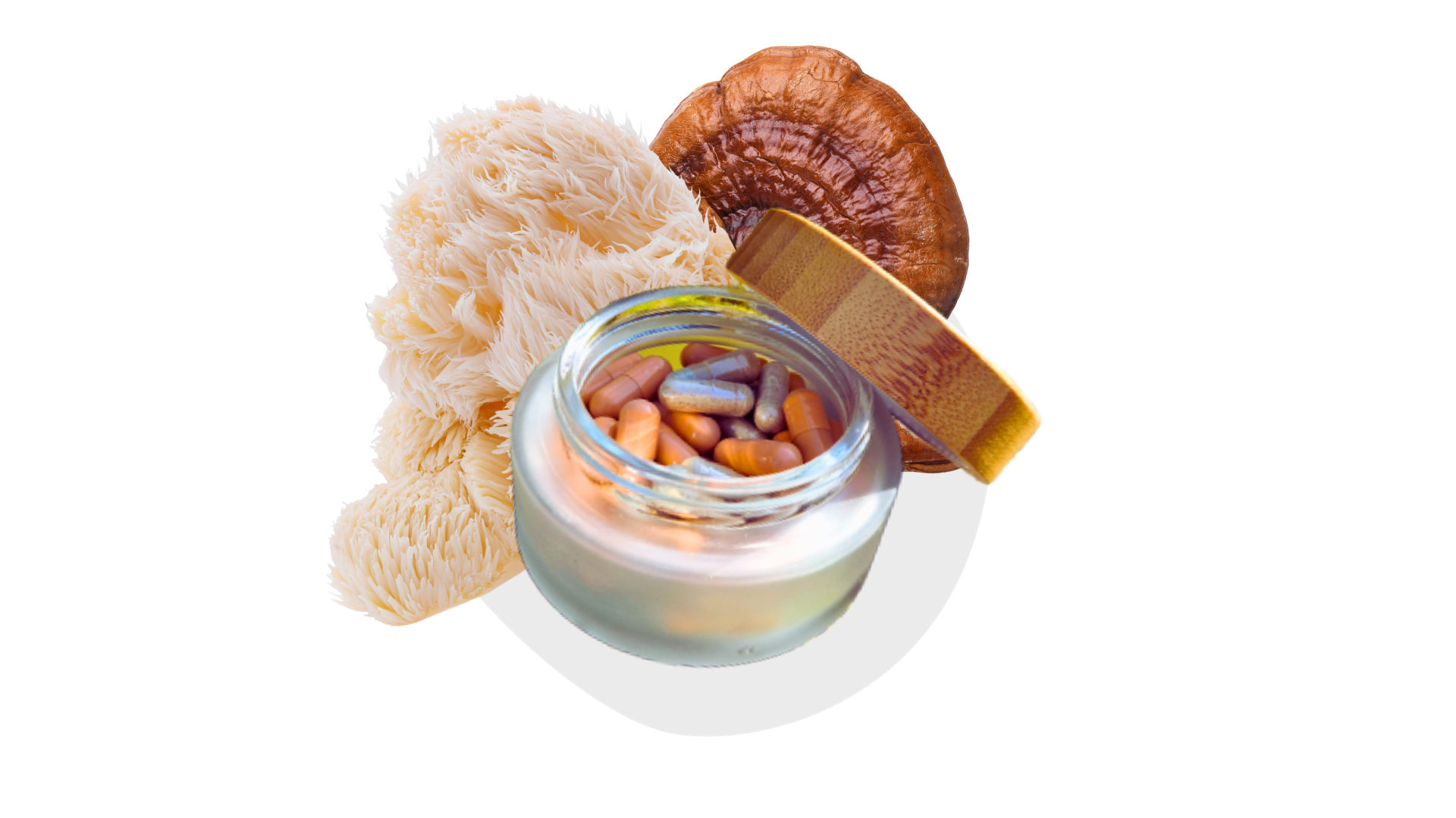 Neurobloom lion's mane reishi adaptogens