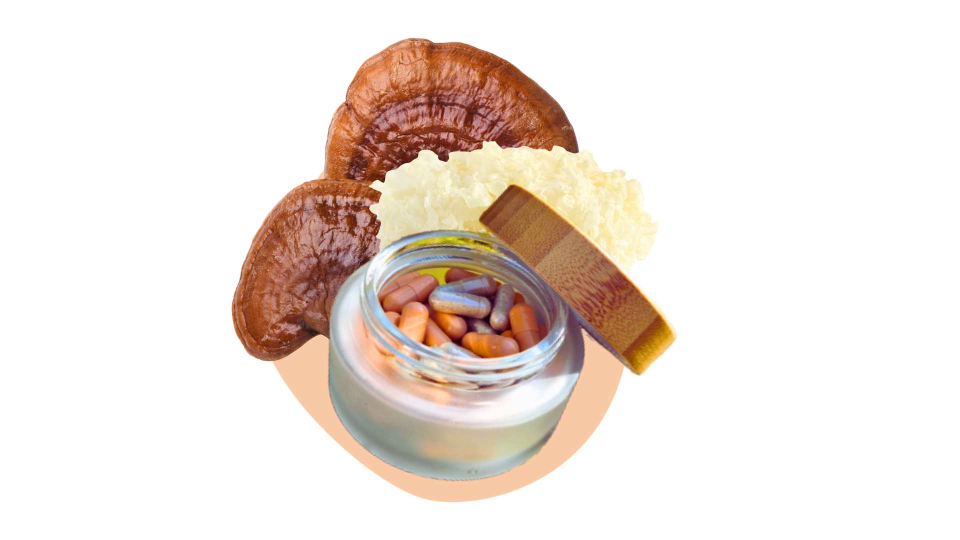 Reishi tremella organic functional mushrooms supplement