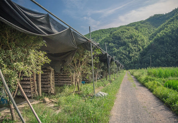 unspoilt-nature-reserves@2x.jpeg__PID:2c916d21-d19c-423f-8c1b-c3a6b33d7d37